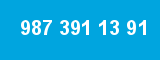 987 391 13 91 987 391 13 91